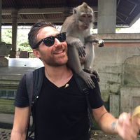 Fotos de Stephen D'Andrea