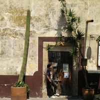 Fotos de Kevin Hernandez