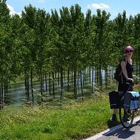 Alice Guida的照片