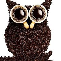 Фотографии пользователя Karolina Woźny