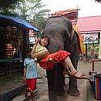 Tomomi Fukuda的照片