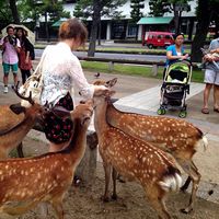 Alisa Hiura的照片