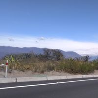 Fotos de Liceth Tutistar Lasso