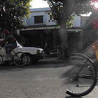 Lucia Herrera的照片