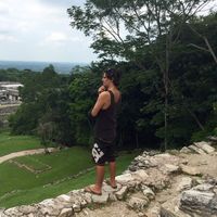 Nicholas Taylor的照片