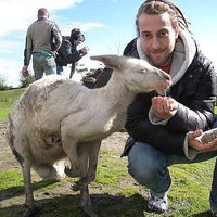 Fotos de Stefano Bob