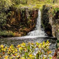 Rayanne Bastos的照片