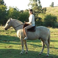 Photos de Dany Liendro