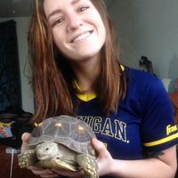 Leslie Sorenson的照片