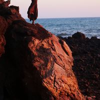 Le foto di Pheno Jafarzade