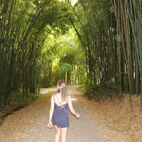 Cinderela Medeiros's Photo