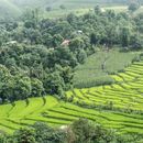 Trip To Pai's picture