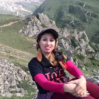 elham shahsanaee的照片