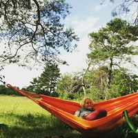 Maria Siebers的照片