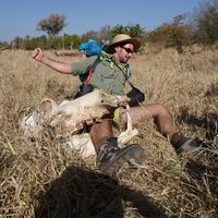 ludovic Di ascia's Photo