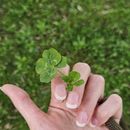 Wu Wei With Me - Winter Journey's picture