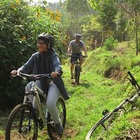 yunia rahma dewi的照片