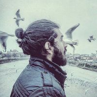 Amirali Ghahremankhah的照片