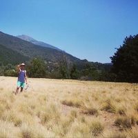 Jorge Sanzana's Photo