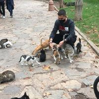 Rasheed Majzoub's Photo