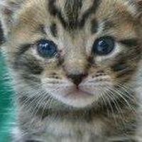 Fotos von Jackie Calvitti