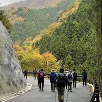 Akhil アキル的照片