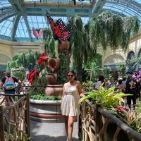 gabriela  perez zeferino's Photo