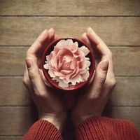 Фотографии пользователя Ju-sun Kim