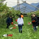 BEGINNING OF HARVEST 's picture