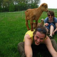 Winston Pennington-Flax's Photo