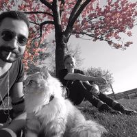 Tariq Suleiman的照片