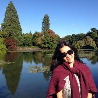 TUYET NGUYEN's Photo