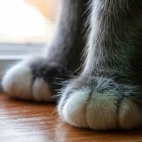 Markas Kirpejas's Photo