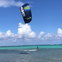 Will Chehayeb's Photo