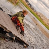 Nilo Gaston的照片