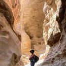 Foto de Dead Sea And A Canyon