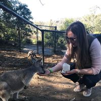 Rosanna Sutcliffe的照片