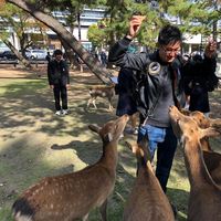 Nic_yue_sheng's Photo