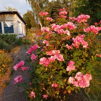 Cathrin Bauer's Photo