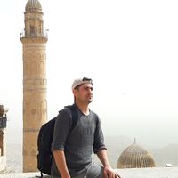 Traveller ant的照片