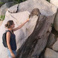 Фотографии пользователя Olga van Grootheest