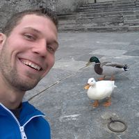 Lukas Schneider's Photo