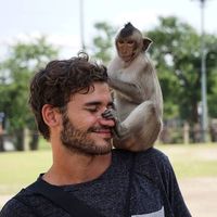 Fotos de Marco D'Amico