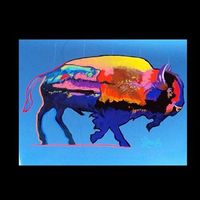 Fotos de Marty Kruelle