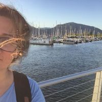 Mahnaz Shamsini的照片