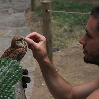 Iñaki Polo Vaquero的照片