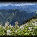 Chanderkhani Pass Trek's picture