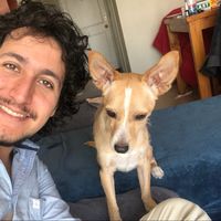 Diego San Martin的照片