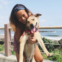 Jamie Hamburger的照片