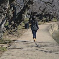 Gabriela Araujo的照片